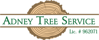 Adney Tree Service